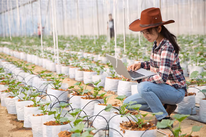 Exploring the Basics and Importance of Smart Farming Tools in Modern Agriculture