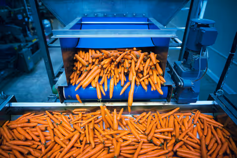 Food Processing Machine Overview: Understanding Components, Functions, and Working Basics