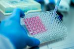 Understanding Assay Development: Process, Techniques, and Best Practices